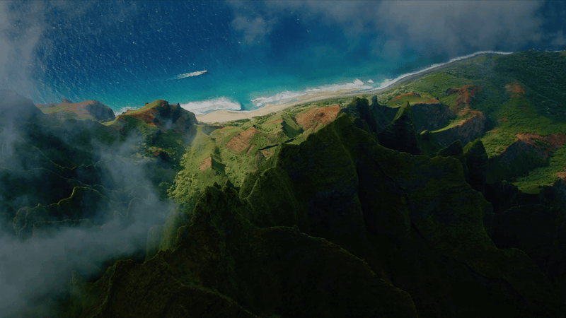 allhawaii.jp